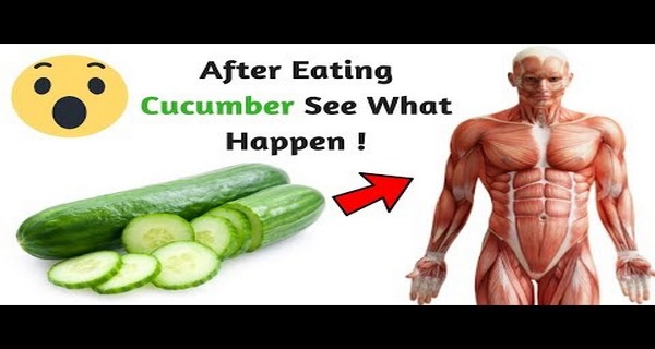 13 AmazingThings That Can Happen to Your Body If You Start Eating One Cucumber a Day