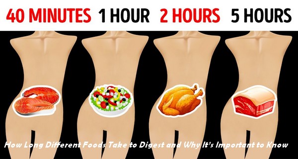 How Long Different Foods Take to Digest and Why It’s Important to Know