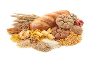 GRAINS AND CONCENTRATED CARBOHYDRATES DIGESTION
