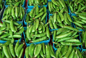 Sugar snap peas