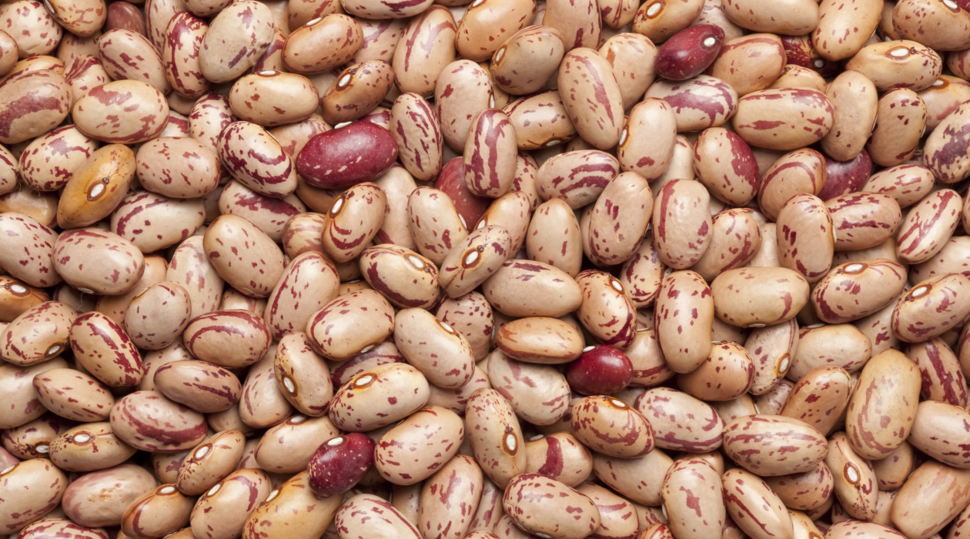 Pinto Beans