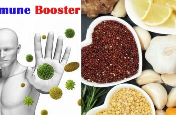 18 Super Foods That Boost the Immune System