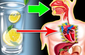 Drink Lemon Water Instead Of Pills If You Have One Of These 13 Problems