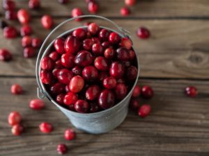 cranberry antibiotics