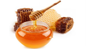 honey antibiotics