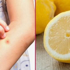 12 Uses Of Lemon That Will Make Your Life Easier