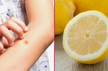 12 Uses Of Lemon That Will Make Your Life Easier