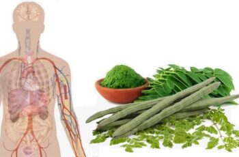 Healthy Reasons You Should Be Eating Moringa Leaves