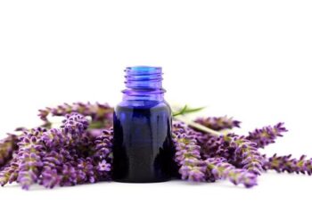 8 Health Benefits Of Lavender Essential Oil & Exactly How To Use It