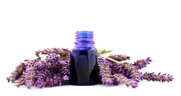 12 Outstanding Benefits of Lavender Oil Most People Don’t Know ...