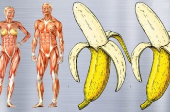 If You Eat 2 Bananas A Day For 1 Month, This Is What Happens to Your Body