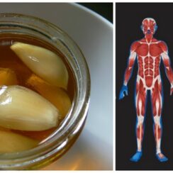 20 Surprising Benefits of Garlic That Keep Doctors Away