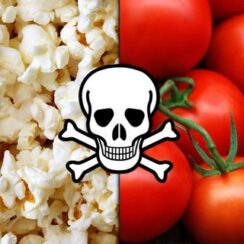 cancer causing food