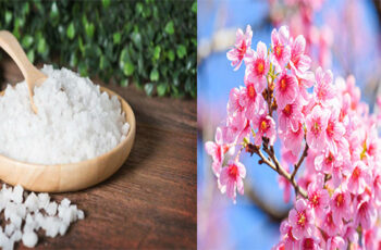 16 ways Epsom salt can help your garden grow better