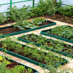 How to Start a ‘No Dig’ Garden