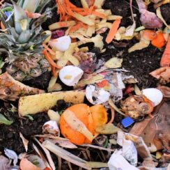 How To Make Great Compost – 6 Simple Secrets To Make Perfect Compost