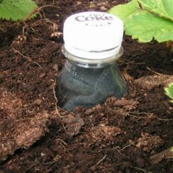 Gardening Tips 22 “Zero Dollar” Garden Hacks