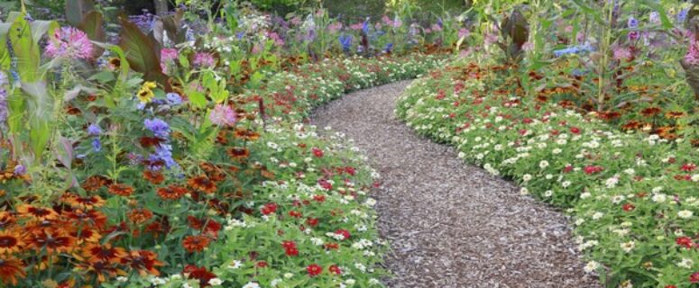 30 Low-Maintenance Plants That Thrive With or Without Your Attention