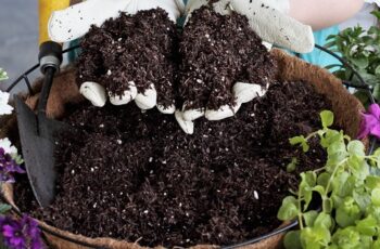 How To Save Old Potting Soil From Hanging Baskets & Containers