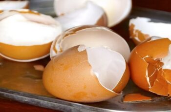 How To Save And Store Egg Shells Safely For Your Garden – All Through The Winter!