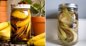 Place Banana Peels In A Bottle And Watch What Happens-Gardening Tips