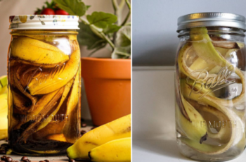 Place Banana Peels In A Bottle And Watch What Happens-Gardening Tips
